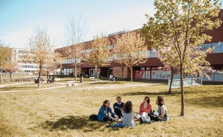 étudiants dans l'herbe